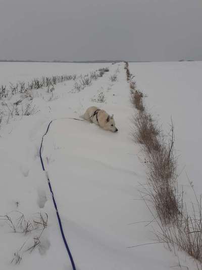 Koffer Packen: Spezial Weihnachtsedition-Beitrag-Bild