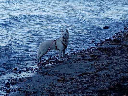 Eure schönsten Fotos mit Wasser-Beitrag-Bild