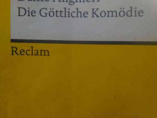 Wie heißt dein Hund?-Beitrag-Bild