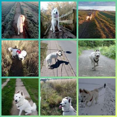 30. Collagen Challenge - Wege/Straßen-Beitrag-Bild