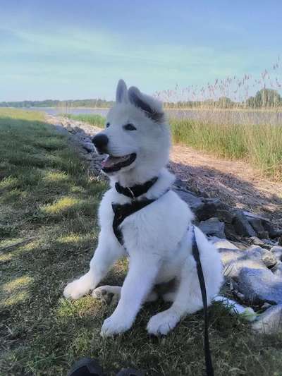Fotowettbewerb zum Thema "Sonne"-Beitrag-Bild