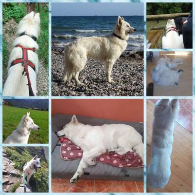 53. Collage Challenge - Verschiedene Blickwinkel-Beitrag-Bild