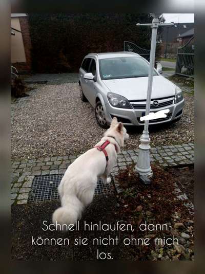 2.Kurzgeschichten Challenge Thema: Autofahren-Beitrag-Bild