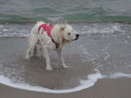 Foto Challenge Nr.133-Beitrag-Bild