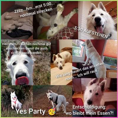 1. Kurzgeschichten Challenge  - Thema:  ...Los, aufstehen-Beitrag-Bild