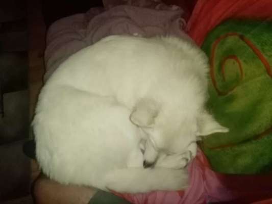 Fotochallange - Eingekugelt-Beitrag-Bild