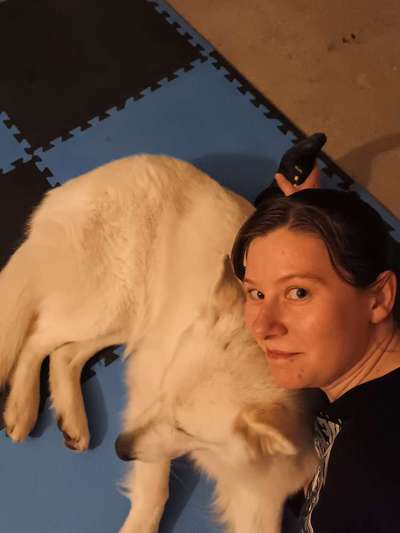 51. Impulskontrollchallenge: Maulkorb/ Ausrüstungsgegenstand tolerieren-Beitrag-Bild