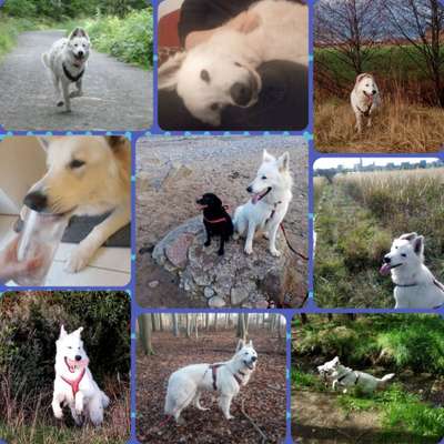 22. Collagen Challenge- Lebensfreude-Beitrag-Bild