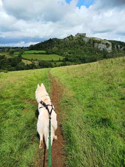 Was hat euch heute gefreut?-Beitrag-Bild