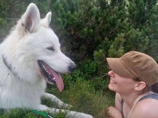 Hunde Porträt (Portrait) Galerie....-Beitrag-Bild