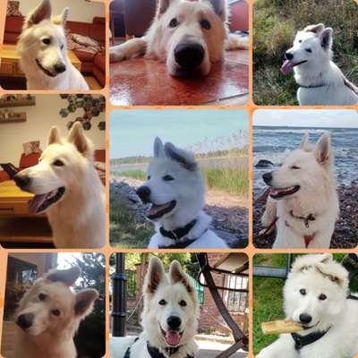 23. Collagen-Challenge: Portraits-Beitrag-Bild