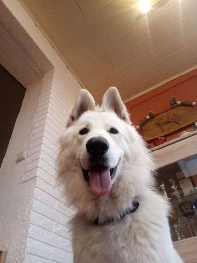 23. Handy Foto-Challenge-Beitrag-Bild