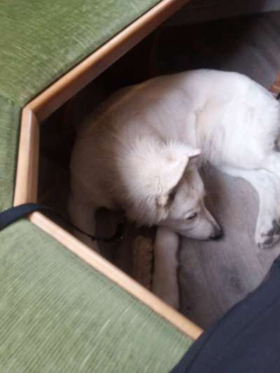 Impulskontrolle Challenge Nr.: 7
         "Gesellschaftsfähig"-Beitrag-Bild