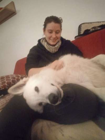 Zeigt her; eure "zu gross geratenen Schosshunde"-Beitrag-Bild