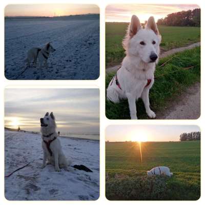 14. Collagen Challenge- Sonnenaufgang & -Untergang-Beitrag-Bild