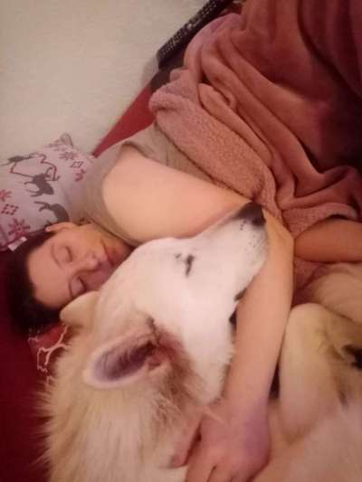 Vertrauen zwischen Hund und Halter-Beitrag-Bild