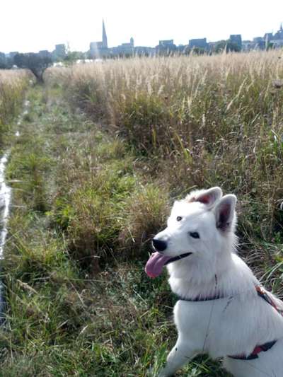 Fotochallenge Nr.105  Glücksmomente-Beitrag-Bild