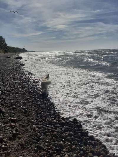 Eure schönsten Fotos mit Wasser-Beitrag-Bild