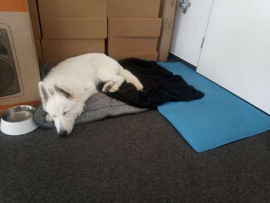 Impulskontrolle Challenge Nr.: 7
         "Gesellschaftsfähig"-Beitrag-Bild