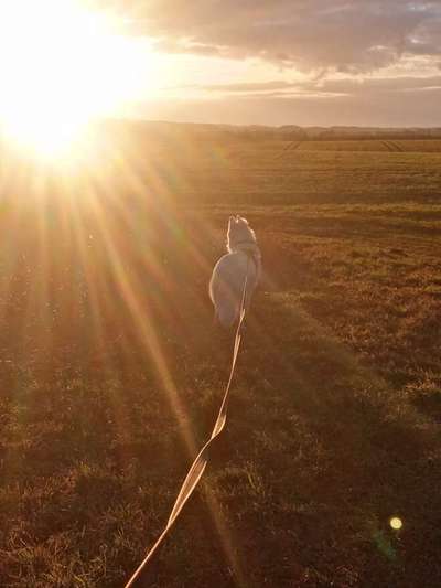 55. Handy Foto Challenge - von hinten, Blick in die Ferne-Beitrag-Bild