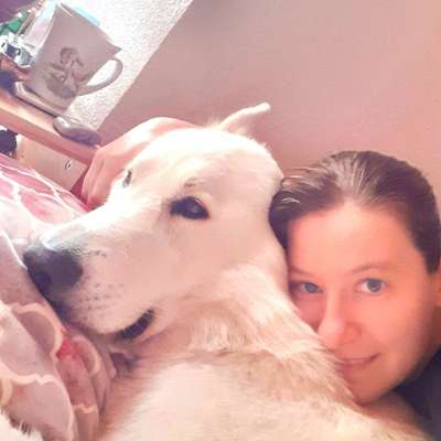 Foto-Challange: Schmuse-/Kuschel-/Ruhemodus-Beitrag-Bild