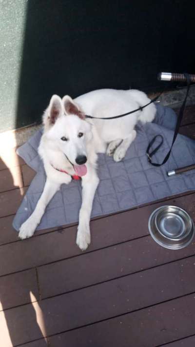 Außergewöhnliche Merkmale-Beitrag-Bild