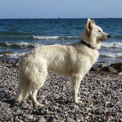 Eure schönsten Fotos mit Wasser-Beitrag-Bild