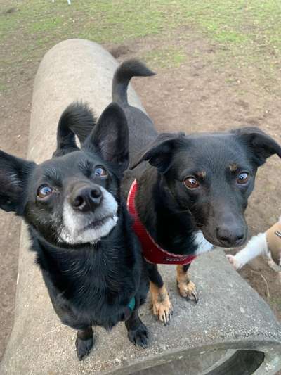 Fotochallenge No. 26                                     Wald und Wiese-Beitrag-Bild