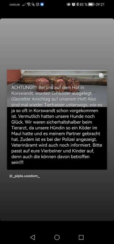 Giftköder-Giftköder-Bild