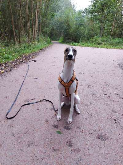 Was können eure Ohren so? ;)-Beitrag-Bild