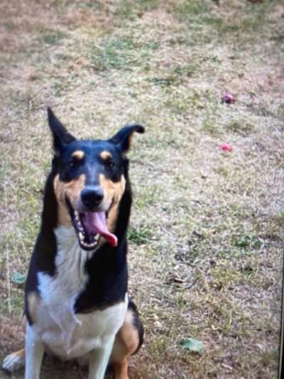 Handyfoto challenge Nr. 13: Waschlappen raus!-Beitrag-Bild