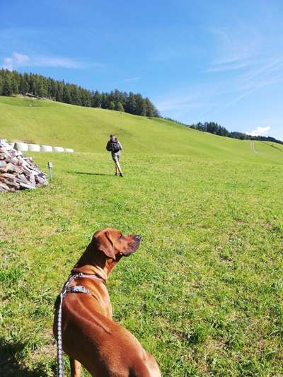 Dogorama Photo Challenge - Tierischer Urlaub-Beitrag-Bild