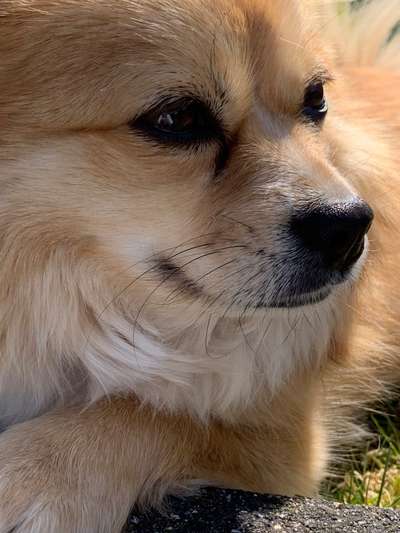 Fotochallange Nr. 57     PORTRÄT.   Beendet!!!!!!!!-Beitrag-Bild