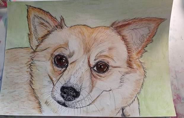 Ich zeichne deine Fellnase-Beitrag-Bild