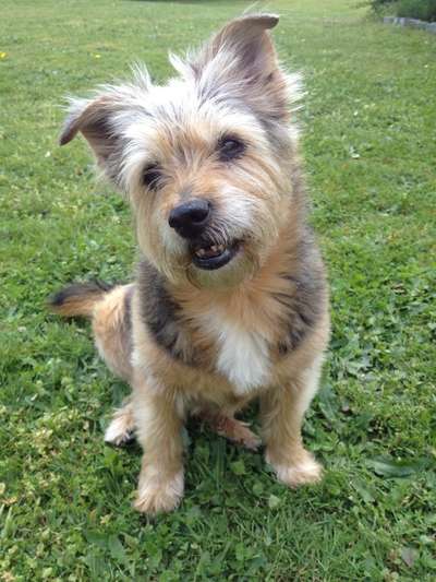 Fotochallenge Nr. 56 - geliebte Senioren-Beitrag-Bild