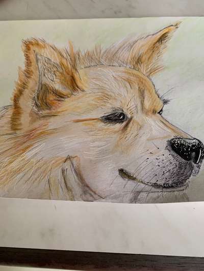 Ich zeichne deine Fellnase-Beitrag-Bild