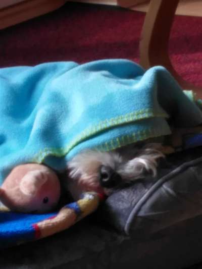 Die unbequemsten und lustigsten Schlafpositionen-Beitrag-Bild