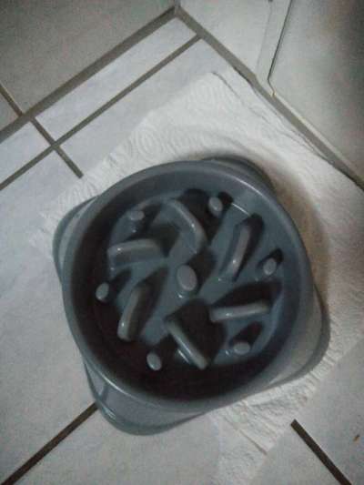 zu schnelles Fressen-Beitrag-Bild