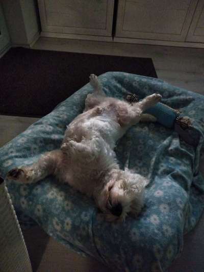 Die unbequemsten und lustigsten Schlafpositionen-Beitrag-Bild