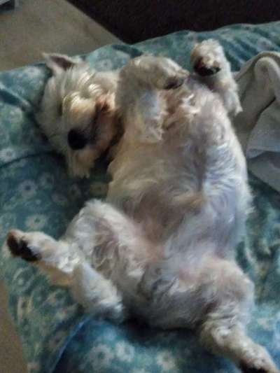 Die unbequemsten und lustigsten Schlafpositionen-Beitrag-Bild