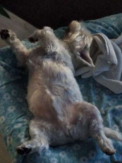 Die unbequemsten und lustigsten Schlafpositionen-Beitrag-Bild