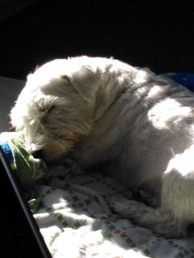 Die unbequemsten und lustigsten Schlafpositionen-Beitrag-Bild