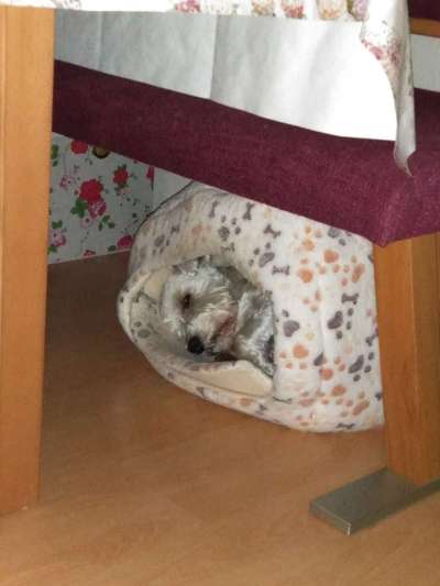 Die unbequemsten und lustigsten Schlafpositionen-Beitrag-Bild