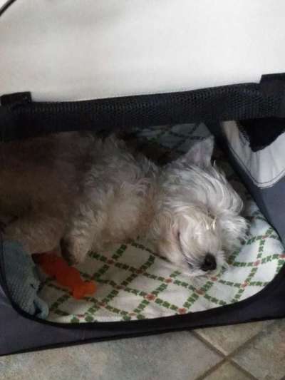 Die unbequemsten und lustigsten Schlafpositionen-Beitrag-Bild