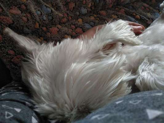 Die unbequemsten und lustigsten Schlafpositionen-Beitrag-Bild