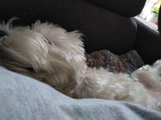 Die unbequemsten und lustigsten Schlafpositionen-Beitrag-Bild