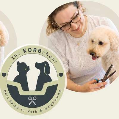 Hundefriseur Hundefriseur Ins KORBchen! in Korb  – Dogorama
