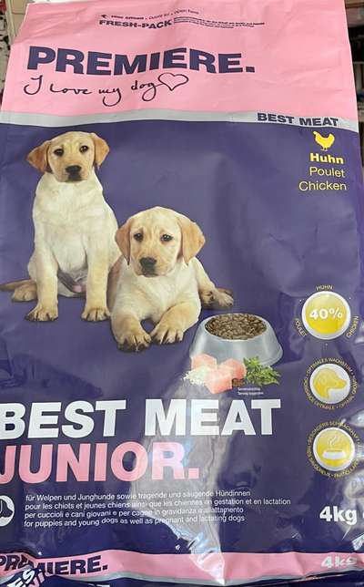 Wo sind die Chihuahua Besitzer ?-Beitrag-Bild