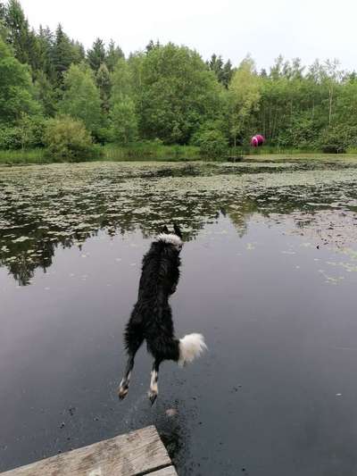 Eure schönsten Fotos mit Wasser-Beitrag-Bild
