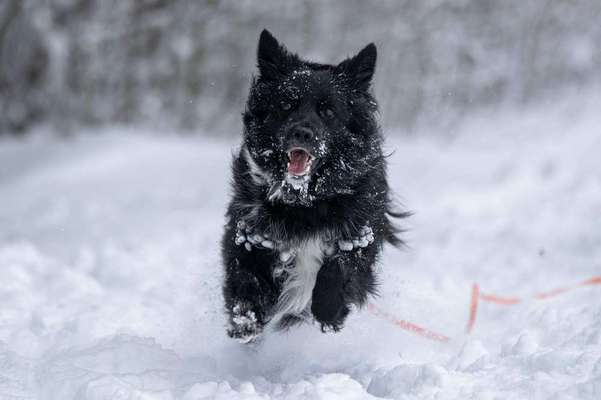 Lieblingsbild-Beitrag-Bild